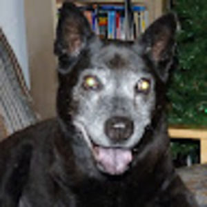 Meet your Posher, Karla